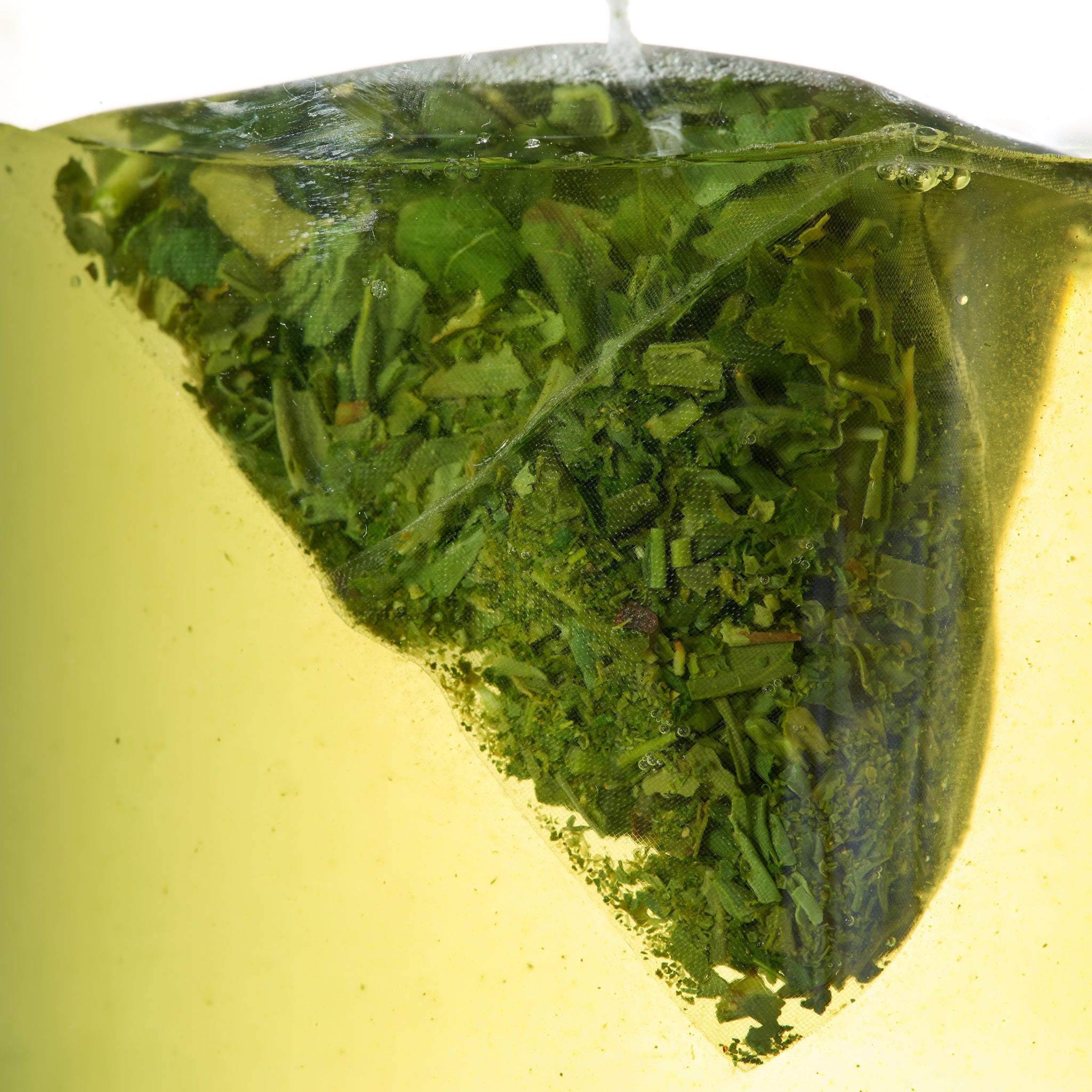 SENCHA